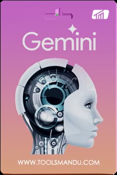 Google Gemini AI