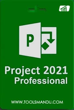 Project Professional