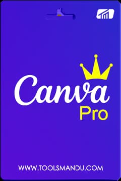 Canva Professional